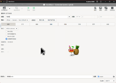 视频转码神器，HandBrake本地Docker部署记录